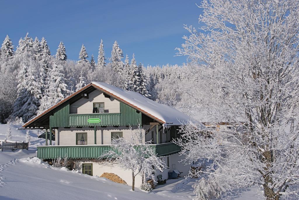 Privatpension Bergschütz Sankt Englmar Exterior foto