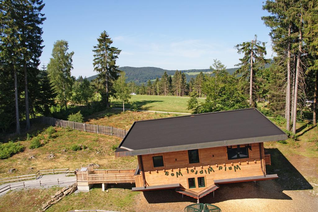 Privatpension Bergschütz Sankt Englmar Exterior foto